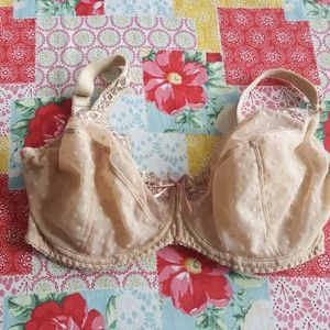 Curvy kate bra size 28H